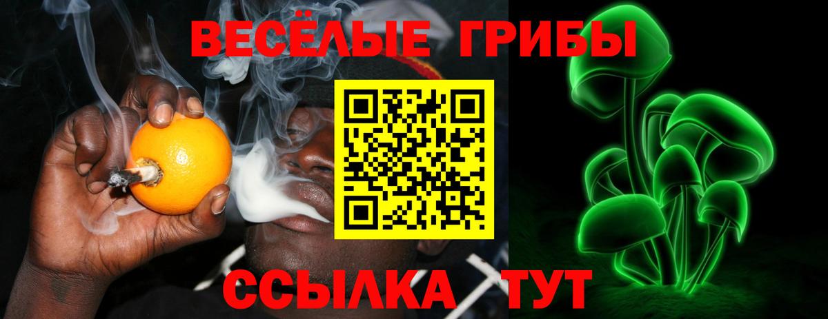 Зеленодольск  Галлюциногенные грибы Psilocybine cubensis  Вход с VPN 